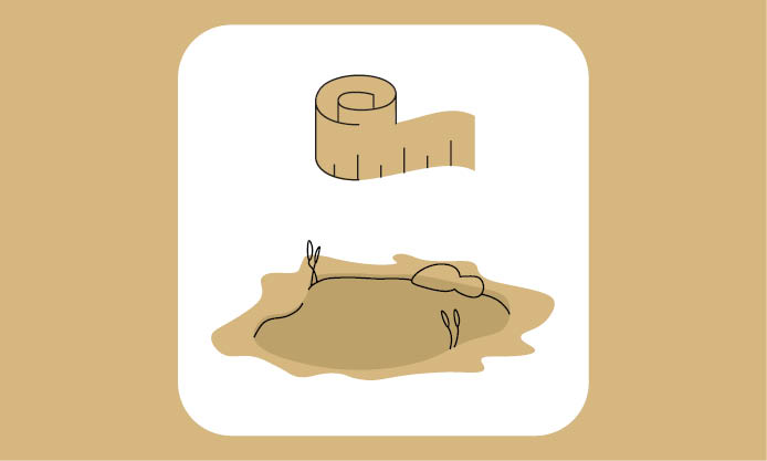 Teichplanung